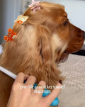 PAWSOME PETS NEW YORK Hand-painted OCEAN COLLECTION SMALL Hair Clip | Eco-Friendly