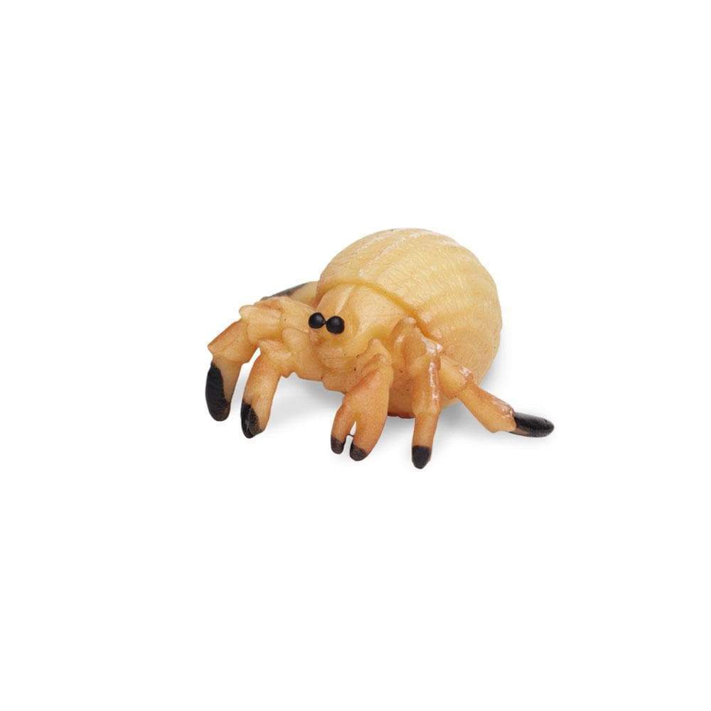 Hermit Crabs - 192 pcs - Good Luck Minis®