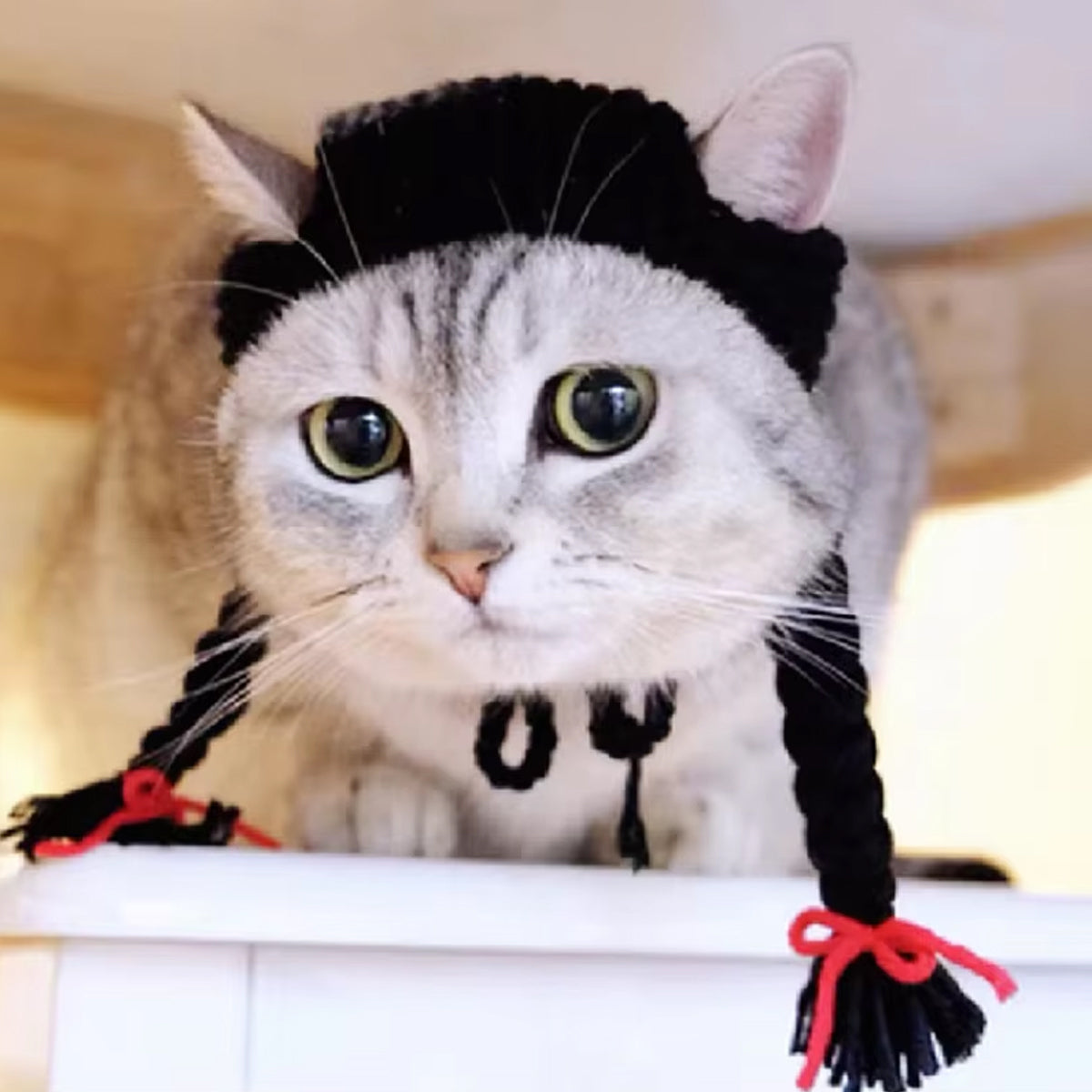 Cat Headwear Handmade Braid Hat Cat Wig Hat Cat Hair Accessory Pet Decoration