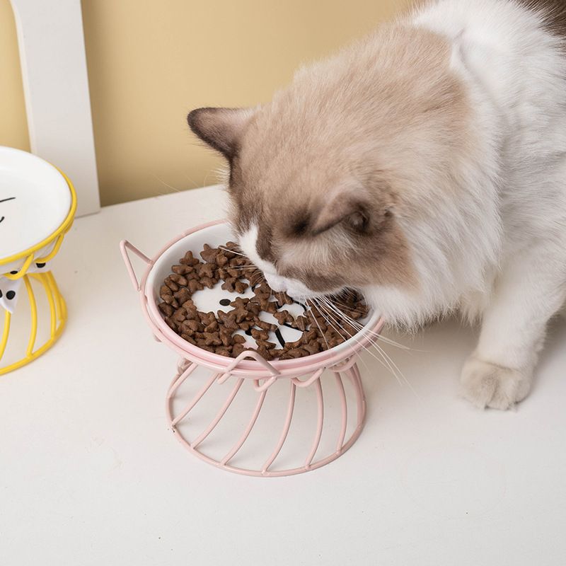 Pets Friendly Cat Bowl, Single Cat Face Plate, Cat bowl, ceramic grain bowl, shallow mouth, large caliber pet food basin（3pcs）