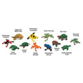 Frog & Turtle Toys TOOB®