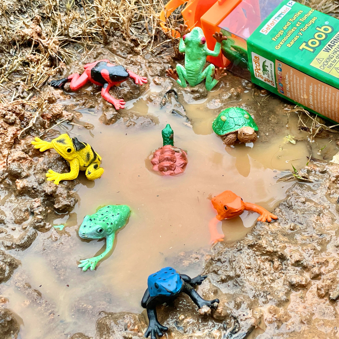 Frog & Turtle Toys TOOB®