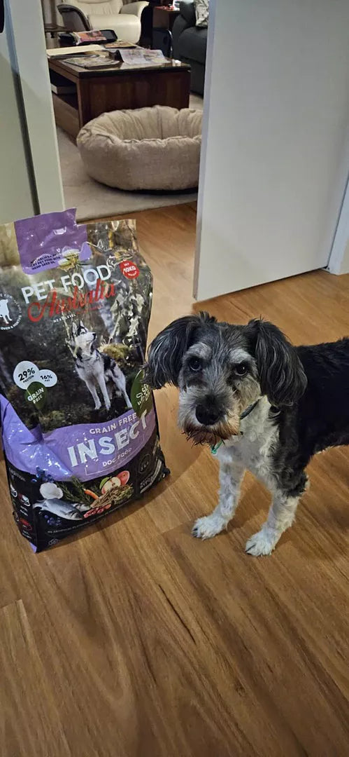 Insect Protein Dog Food